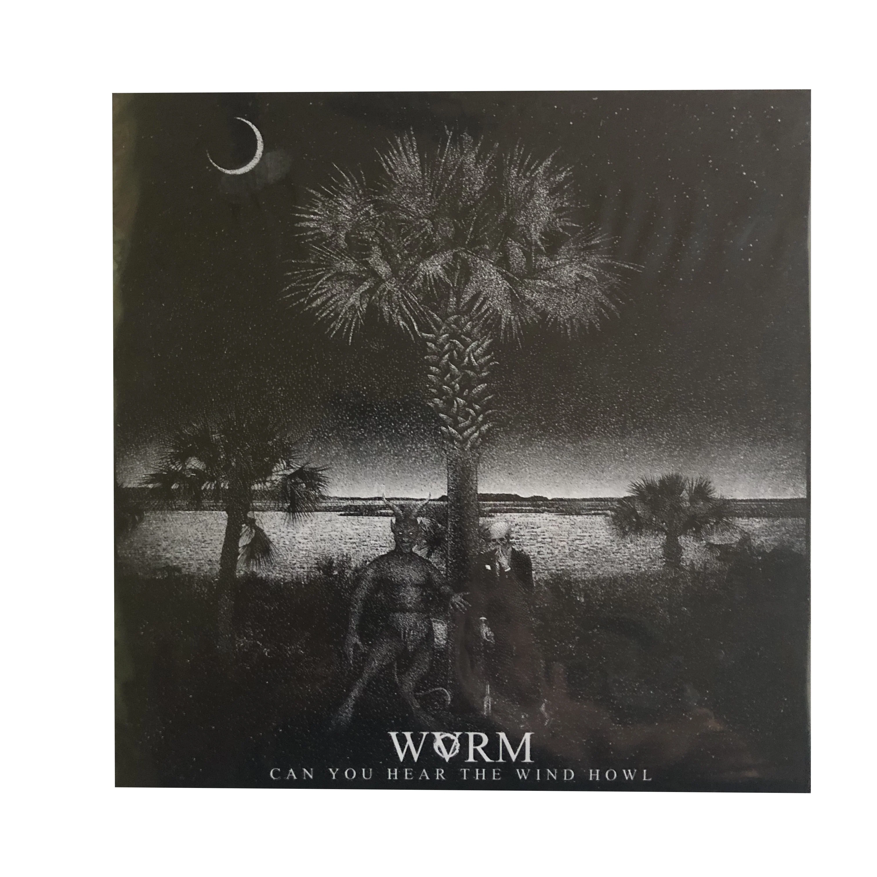 WVRM: Can You Hear the Wind Howl 7"