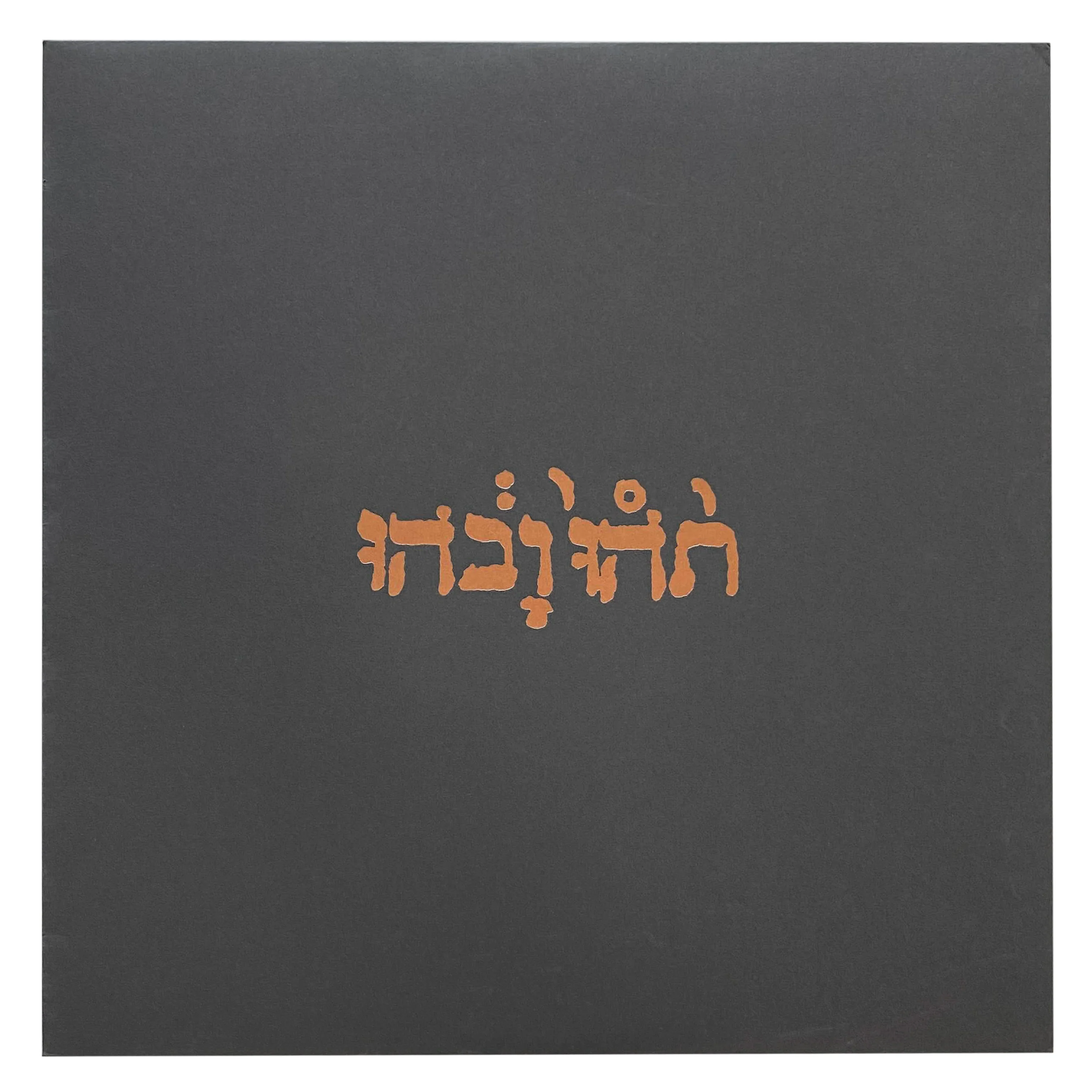Godspeed You! Black Emperor: Slow Riot For New Zero Kanada 12"