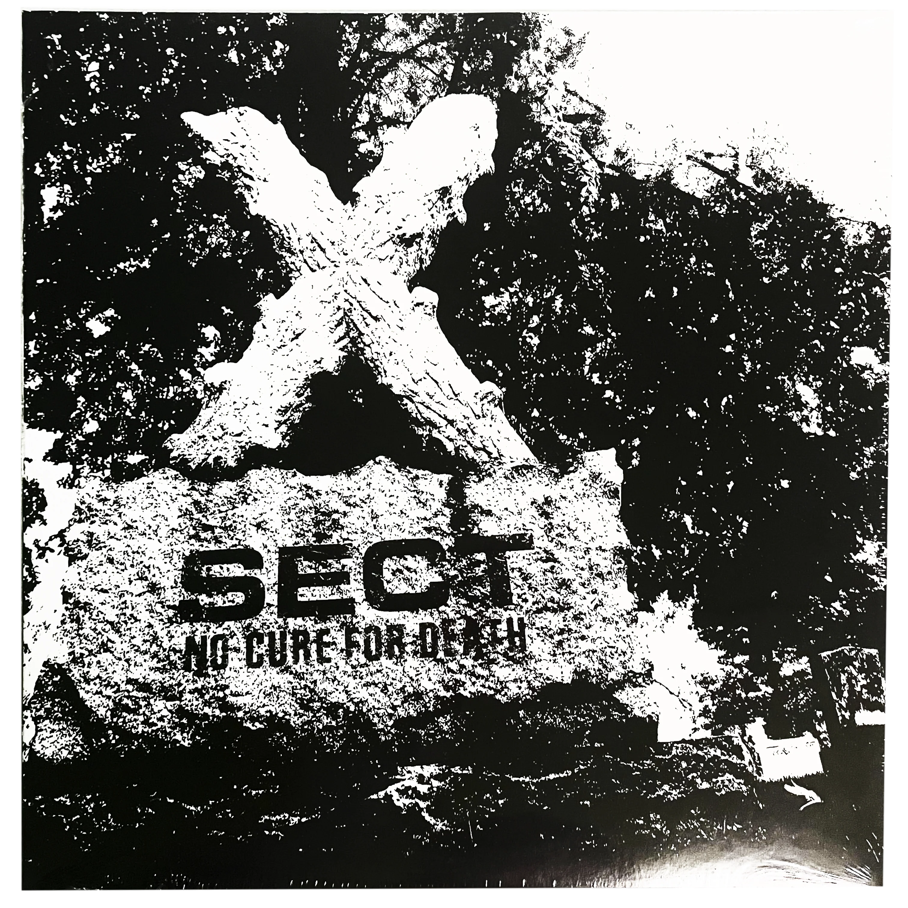 Sect: No Cure For Death 12"