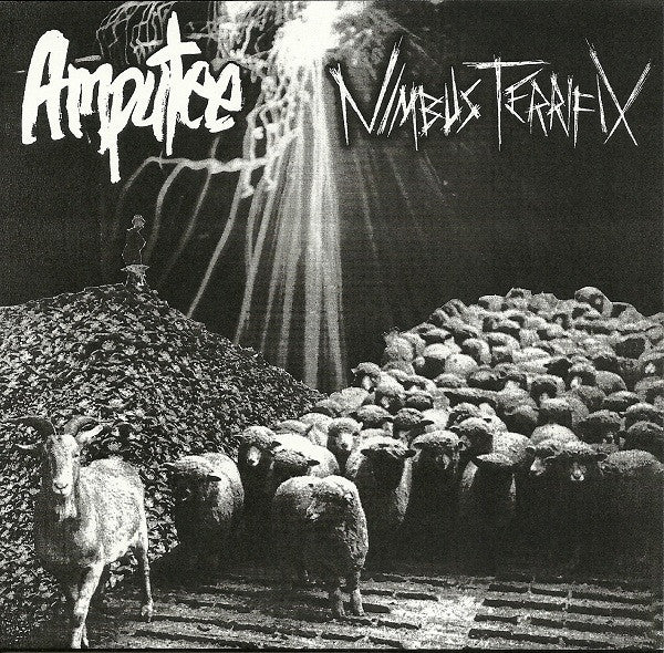 Amputee / Nimbus Terrifix: Split 7"
