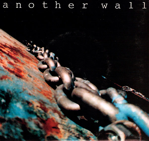 Another Wall: Globe 7"