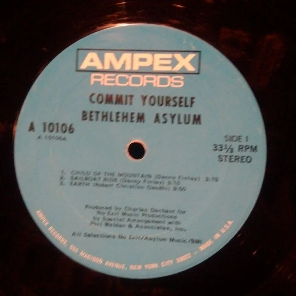 Bethlehem Asylum: Commit Yourself 12" - Image 3