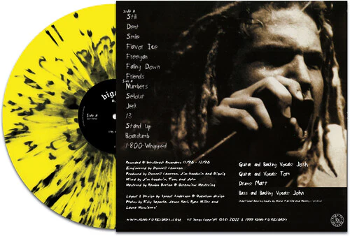 Bigwig: Stay Asleep 12" (yellow/black splatter vinyl) - Image 2