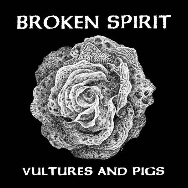Broken Spirit: Vultures And Pigs 12"