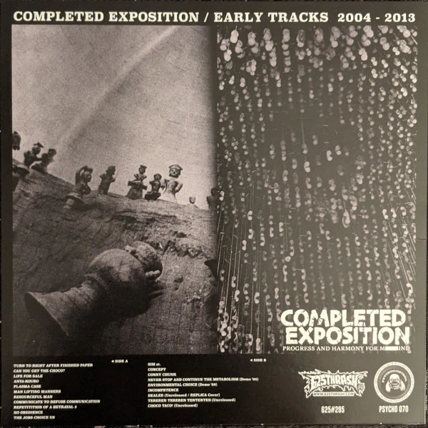 Completed Exposition: Early Tracks 2004 - 2013 10" - Image 2