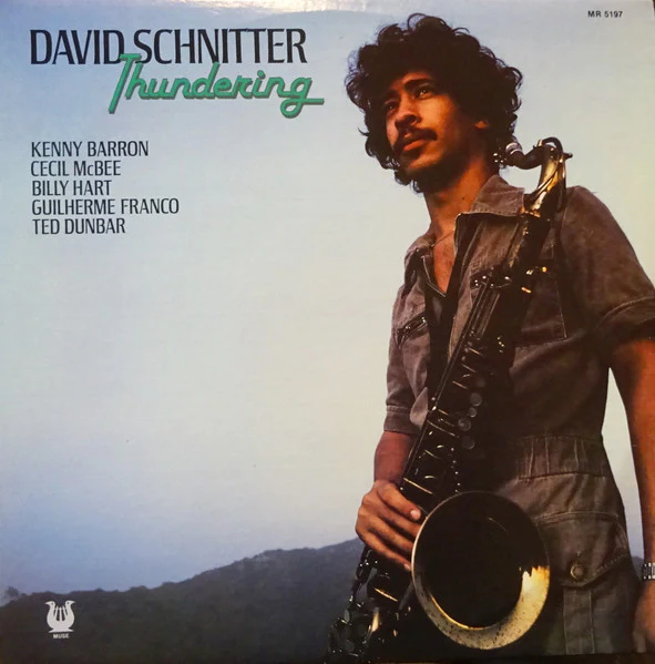 David Schnitter: Thundering 12"
