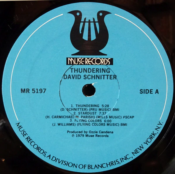 David Schnitter: Thundering 12" - Image 3