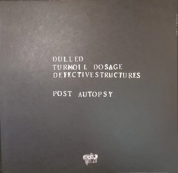 Defect Play: S/T 12" - Image 2