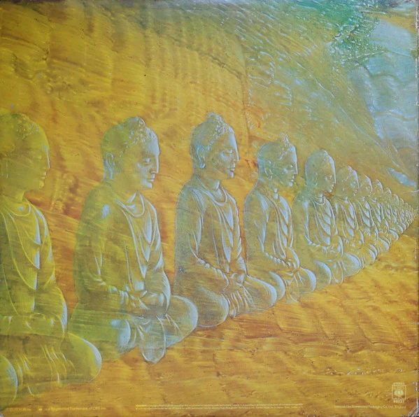 Devadip: Oneness 12" - Image 2