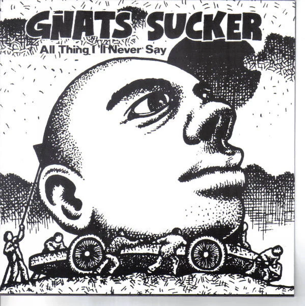 Gnats Sucker: All Thing I'll Never Say 7"