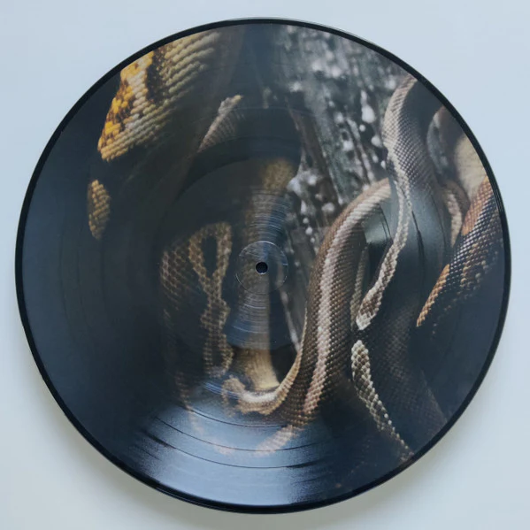 Hexis: Aeternum 12" - Image 4