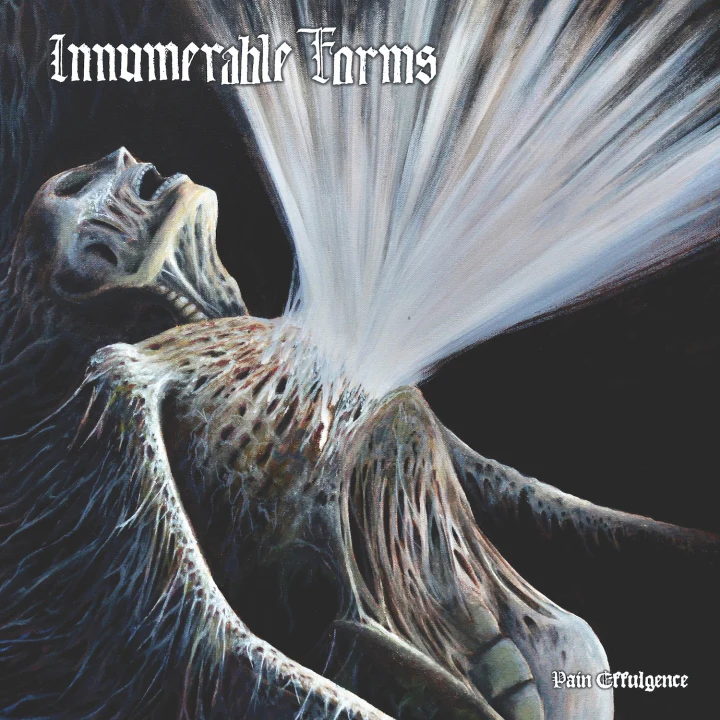 Innumerable Forms: Pain Effulgence 12"