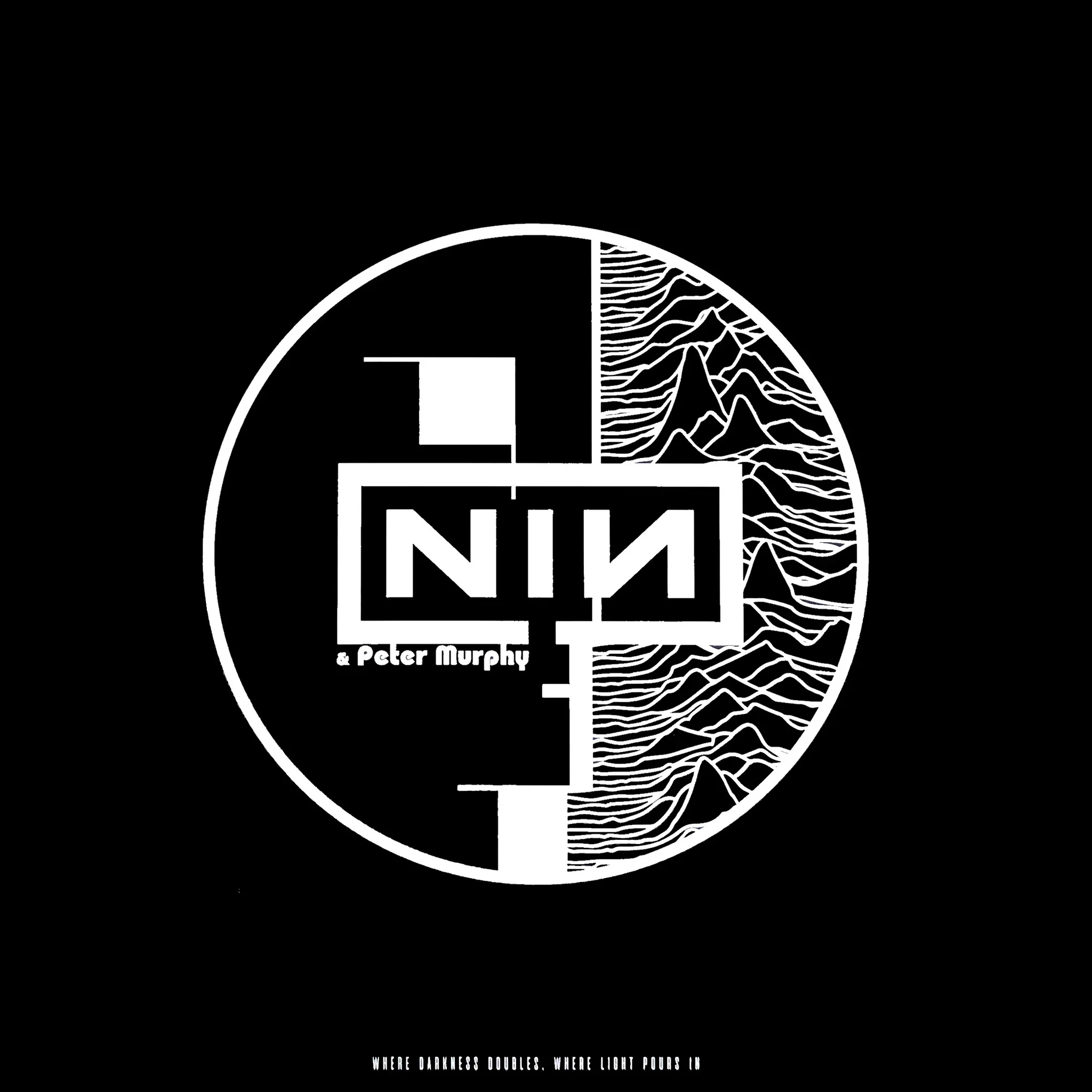 Nine Inch Nails / Peter Murphy: Where Darkness Doubles, Where Light Pours In 12"