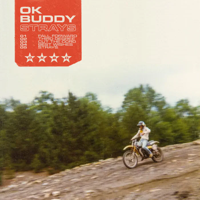 Ok Buddy: Strays 12"