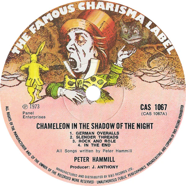 Peter Hammill: Chameleon In The Shadow Of The Night 12" - Image 3