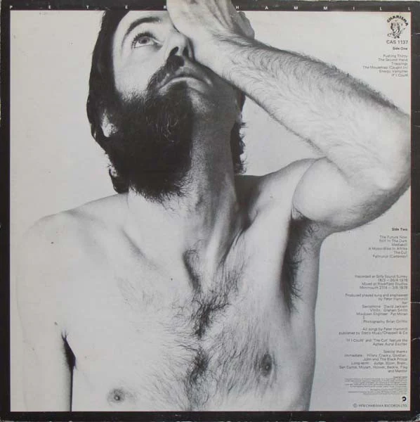 Peter Hammill: The Future Now 12" - Image 2