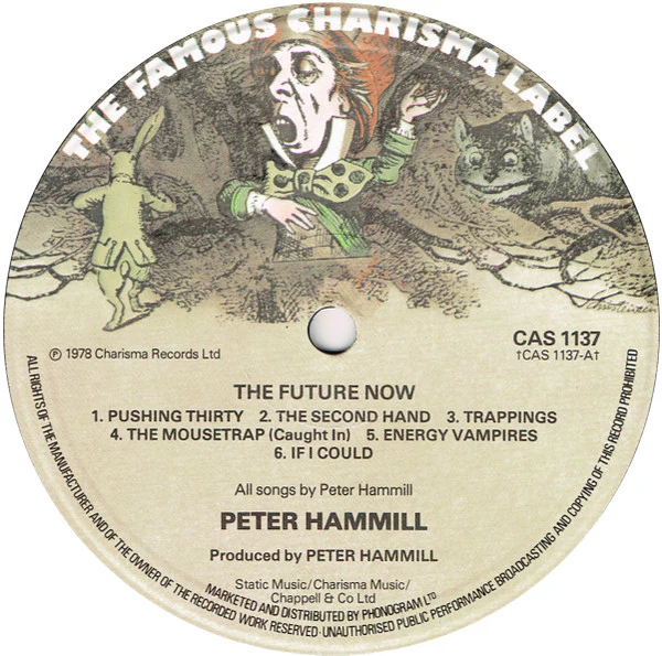 Peter Hammill: The Future Now 12" - Image 3