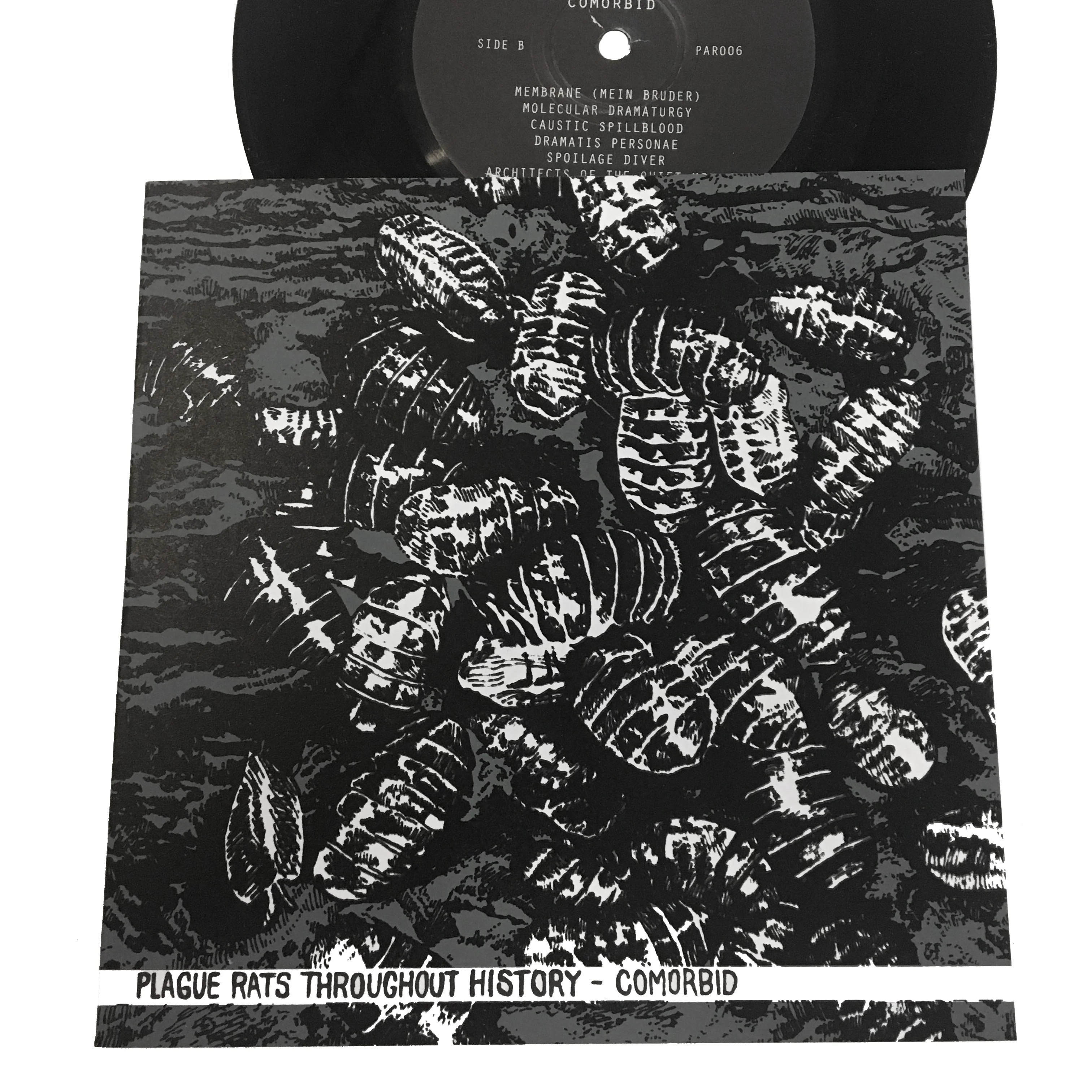 Plague Rats Throughout History: Comorbid 7"