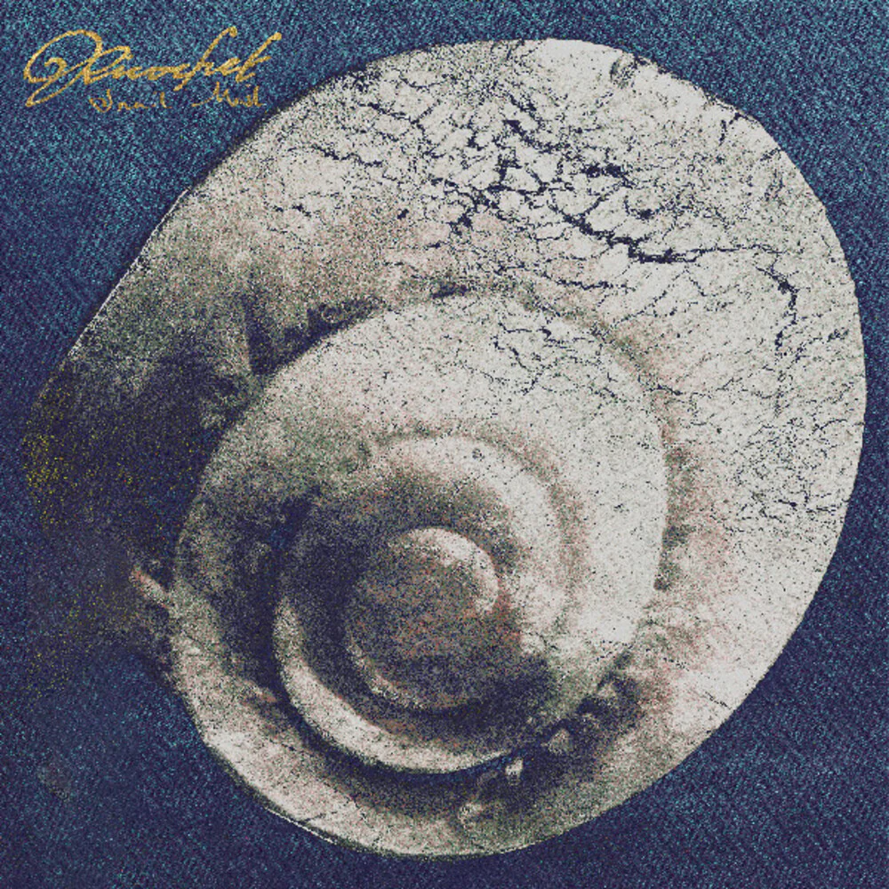 Snail Mail: Ricochet 12"