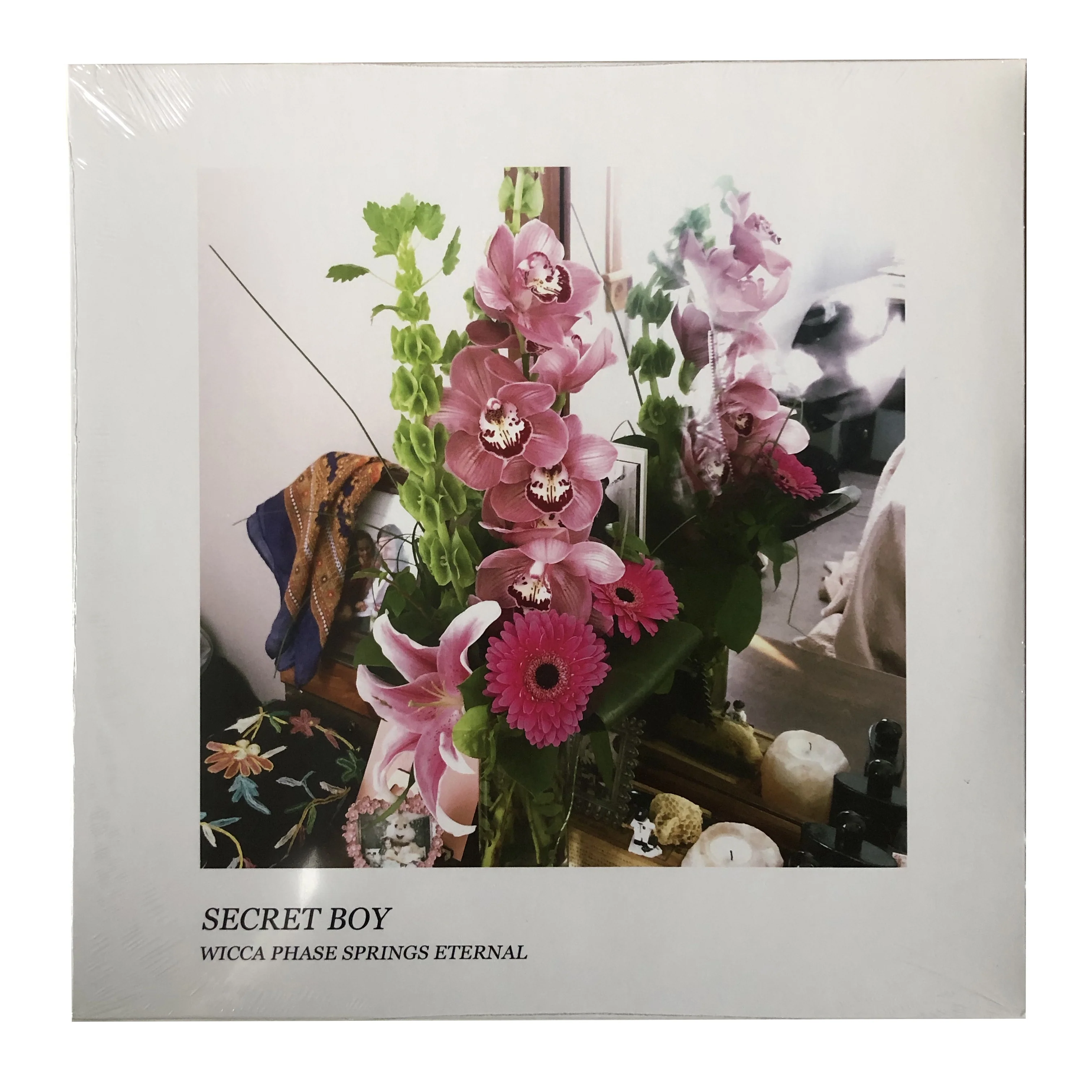 Wicca Phase Springs Eternal: Secret Boy 12"