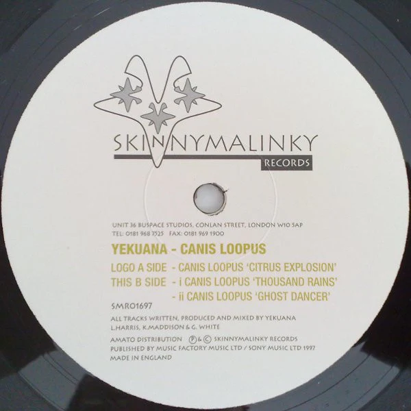 Yekuana: Canis Loopus 12" - Image 3